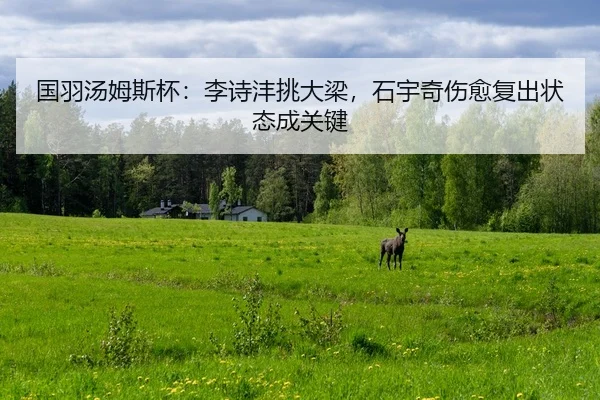 guo-yu-tang-mu-si-bei-li-shi-feng-tiao-da-liang-shi-yu-qi-shang-yu-fu-chu-zhuang-tai-cheng-guan-jian-2-102.jpg