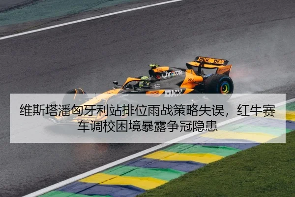 维斯塔潘匈牙利站排位雨战策略失误，红牛赛车调校困境暴露争冠隐患