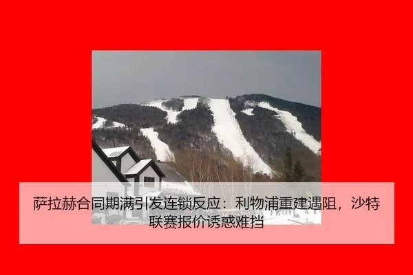 sa-la-he-he-tong-qi-man-yin-fa-lian-suo-fan-ying-li-wu-pu-chong-jian-yu-zu-sha-te-lian-sai-bao-jia-you-huo-nan-dang-3-226.jpg